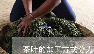 茶叶加工 *** 分几种-茶叶加工 *** 分几种类型