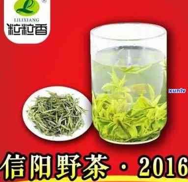 信阳10号茶叶品种-信阳10号茶叶品种大全