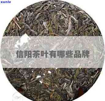 信阳10号茶叶品种-信阳10号茶叶品种大全