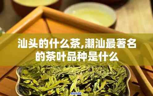 潮汕的茶叶有哪几种类型，探秘潮汕茶文化：熟悉潮汕地区的主要茶叶类型