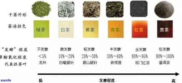 如何识别茶叶的品种-如何识别茶叶的品种名称