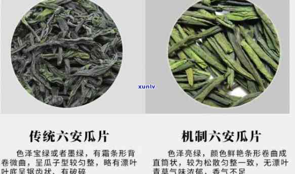 六安有哪些茶叶品种最出名？全面解析六安名茶！