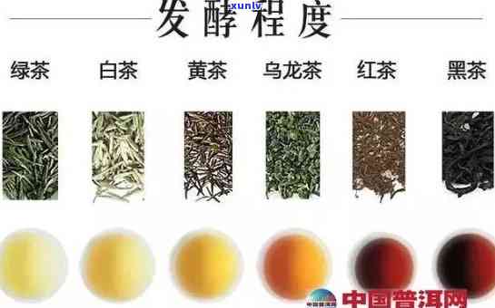 什么茶叶是全发酵茶，探秘全发酵茶：了解哪些茶叶属于这一类别？