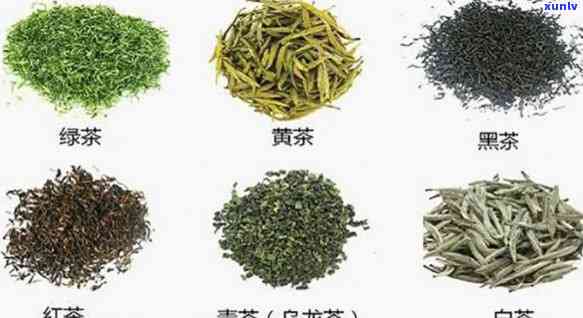 茶叶的原料有哪几种，揭示茶叶的秘密：了解茶叶的原料种类