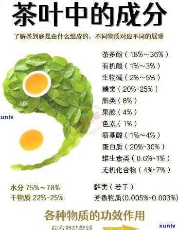 茶叶原料中的有效成分包括，揭示茶叶原料中的有效成分：一场深入的探索之旅