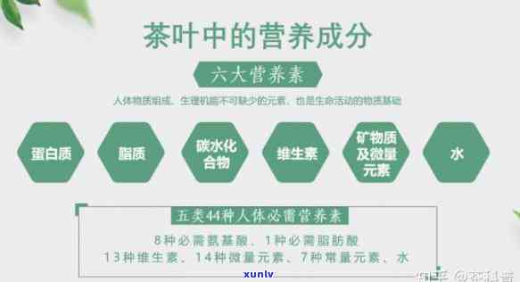 揭示茶叶中的营养元素种类及其组成