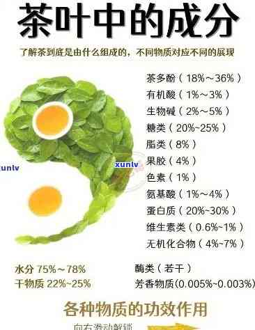 茶叶中营养成多少种植物，揭示茶叶中的植物营养成分：种类与含量分析