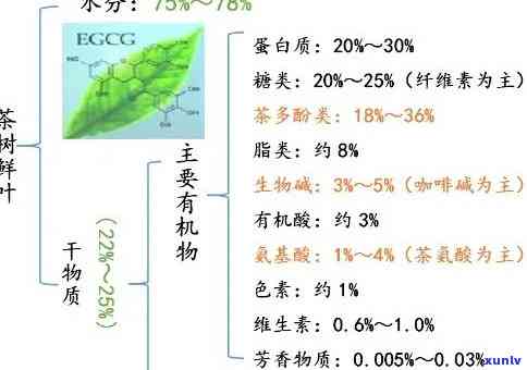 茶叶中营养成分包含，探索茶叶中的丰富营养：全面解析茶叶所含的成分