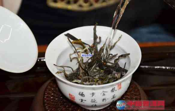 适合冷泡的茶叶品种有哪些，探索适合冷泡的茶叶品种