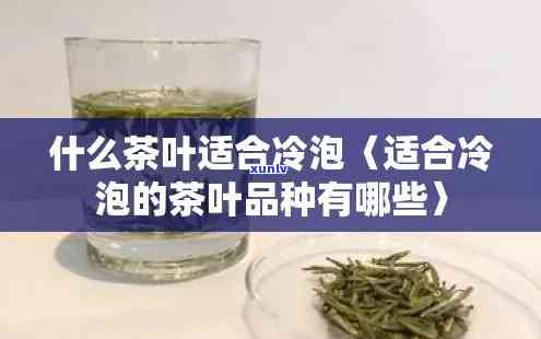 适合冷泡的茶叶品种有哪些，探索适合冷泡的茶叶品种