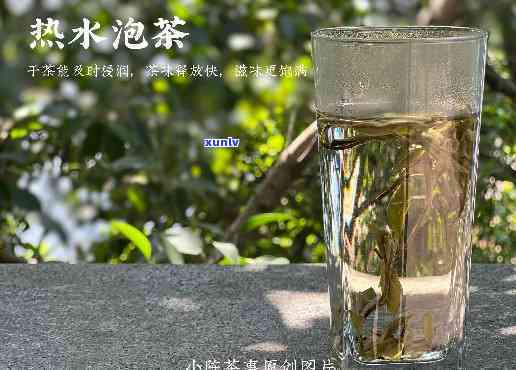 适合冷泡的茶叶品种图片大全与价格信息