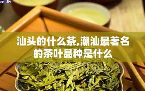 潮汕功夫茶茶叶品种大全，全面了解潮汕功夫茶：茶叶品种大盘点