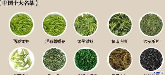 城茶叶有哪些品种-安徽城产什么茶