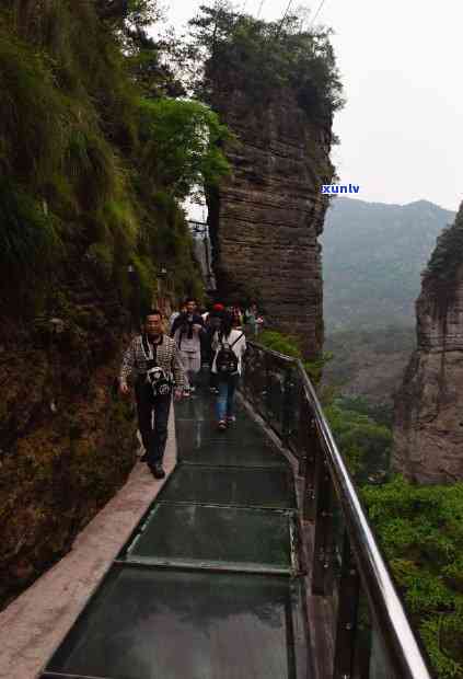 那山那水茶叶有几种-那山是啥茶