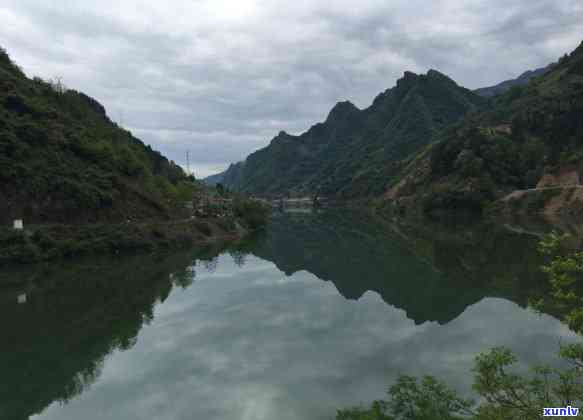 那山那水茶叶有几种-那山是啥茶