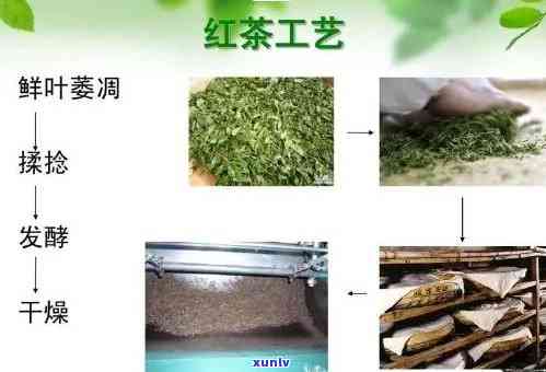 茶叶的加工工艺六种类型：详细介绍与分类