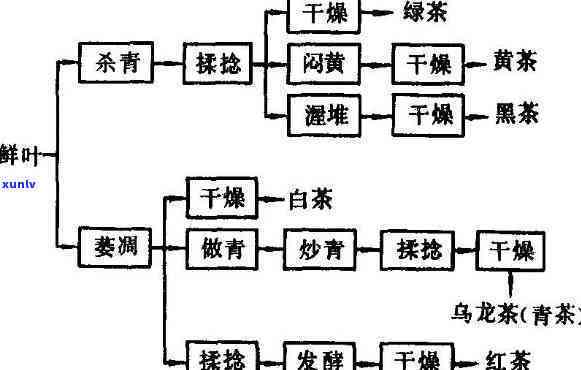 全面了解茶叶的加工工艺六种及其分类