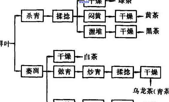 茶叶的加工工艺六种-茶叶的加工工艺六种类型