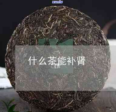 补肾的茶叶有哪几种-补肾的茶叶有哪几种啊