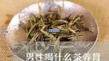 补肾的茶叶有哪几种-补肾的茶叶有哪几种啊