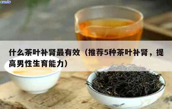 补肾的茶叶有哪几种-补肾的茶叶有哪几种啊