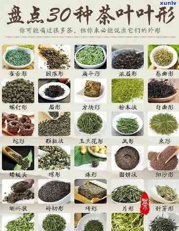 有哪些茶叶品种-有哪些茶叶品种名称