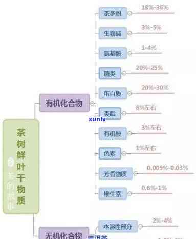 茶叶的成分有多少种类，揭示茶叶的神秘世界：探究其多种成分