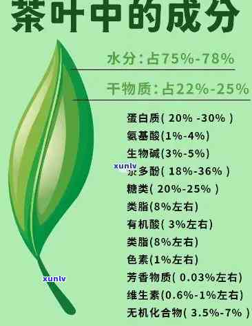 茶叶的成分及其作用：益处与风险全解析