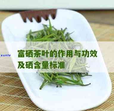 含硒高的茶叶有几种-含硒高的茶叶有几种