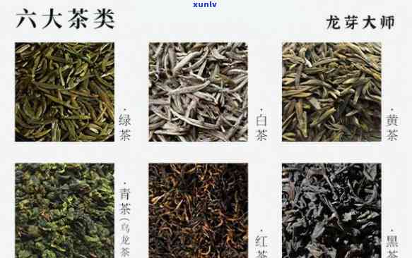 古韵飘香茶叶有几种类型，探索古韵飘香茶叶的种类：了解不同类型的茶叶特性与口感