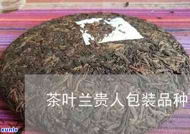 茶叶兰贵人包装品种-茶叶兰贵人包装品种有哪些