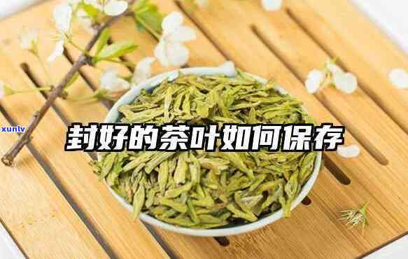 封藏茶叶是什么意思，揭秘茶叶封藏：了解茶叶保存的重要方式