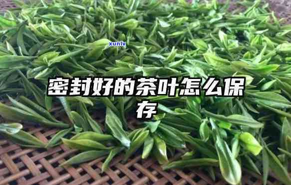 封藏茶叶是什么意思，揭秘茶叶封藏：了解茶叶保存的重要方式