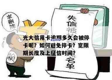 佛山茶叶场全览：数量、位置及详细地址