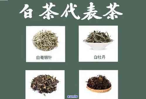 上的茶叶有哪些，探索上茶文化：揭秘本地特色茶叶品种