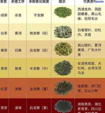 上有名的茶叶品种-上有名的茶叶品种有哪些