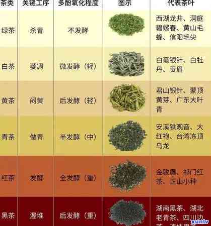 上有名的茶叶品种-上有名的茶叶品种有哪些