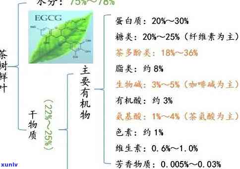 茶叶的成分和含量，揭秘茶叶的秘密：探究其成分和含量