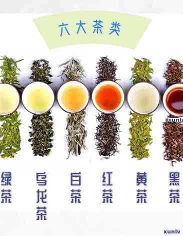 级茶叶品种有多少，探究中国茶叶：级茶叶品种大全