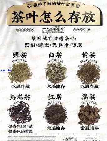 保存茶叶的 *** 有哪些，探讨茶叶保存 *** ：有效长茶叶保质期的技巧与策略