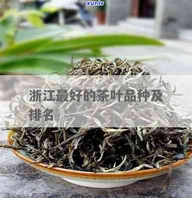 浙江茶叶有哪些品种名称，探索浙江茶叶的多样魅力：品种名称全解析