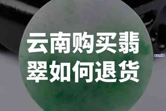 翡翠豆子吊坠镶嵌：精美设计、优雅风格、独特魅力、高品质材料、精湛工艺