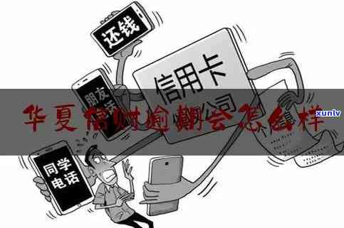 华信财逾期后果6-华信财逾期后果将共同共同承担