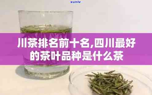 四川的茶叶品种-四川的茶叶品种排名