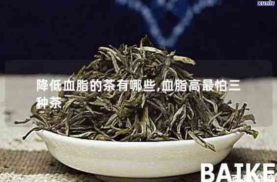 降血脂的茶叶有哪种-降血脂的茶叶有哪种