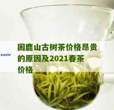 困鹿山古树茶价格80000一斤，《揭秘：困鹿山古树茶价格高达80000一斤，为何如此昂贵？》