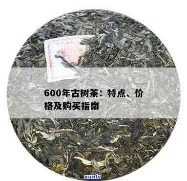 云南开古树茶特点-开古树茶价格表