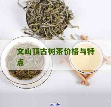 文山顶古树茶的特点和价值，探秘文山顶古树茶：特点与价值解析