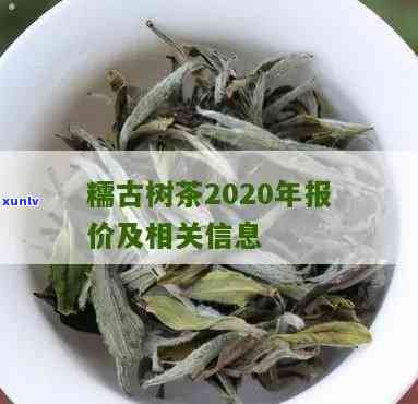 糯古树茶口感怎么样？探究其独特口感特点及2020年最新报价