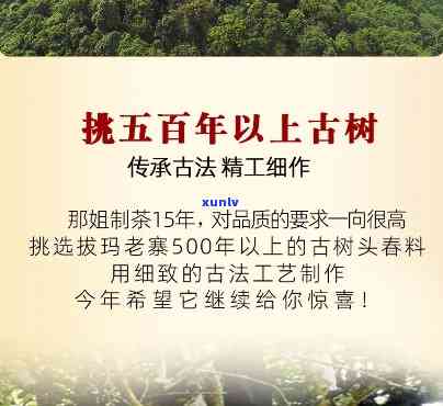 拔玛正山古树茶今年价格，最新资讯：2023年拔玛正山古树茶市场价格解析